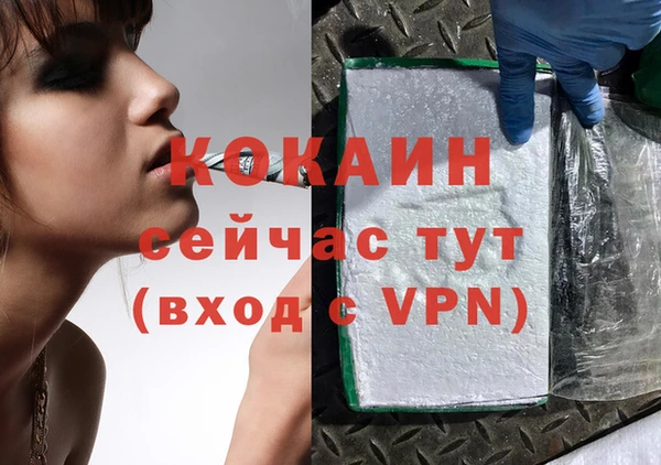 СК Покачи