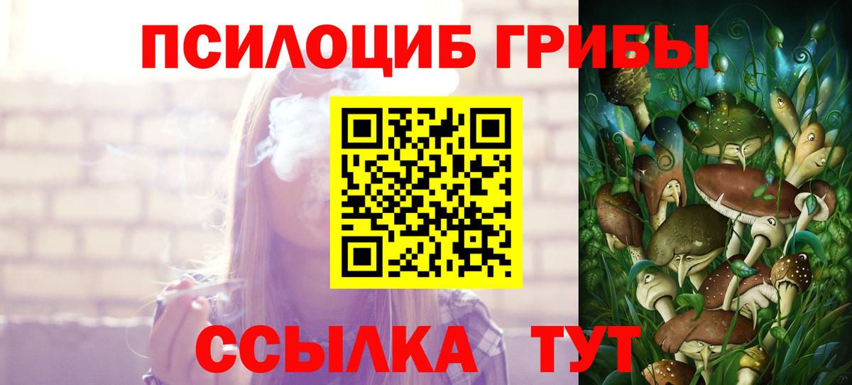 Галлюциногенные грибы Psilocybe Севастополь